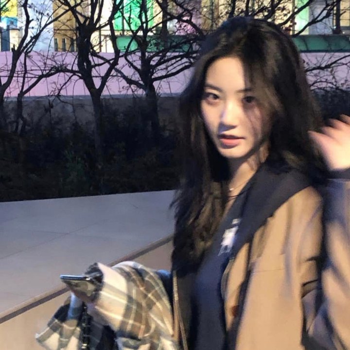 玫瑰计划